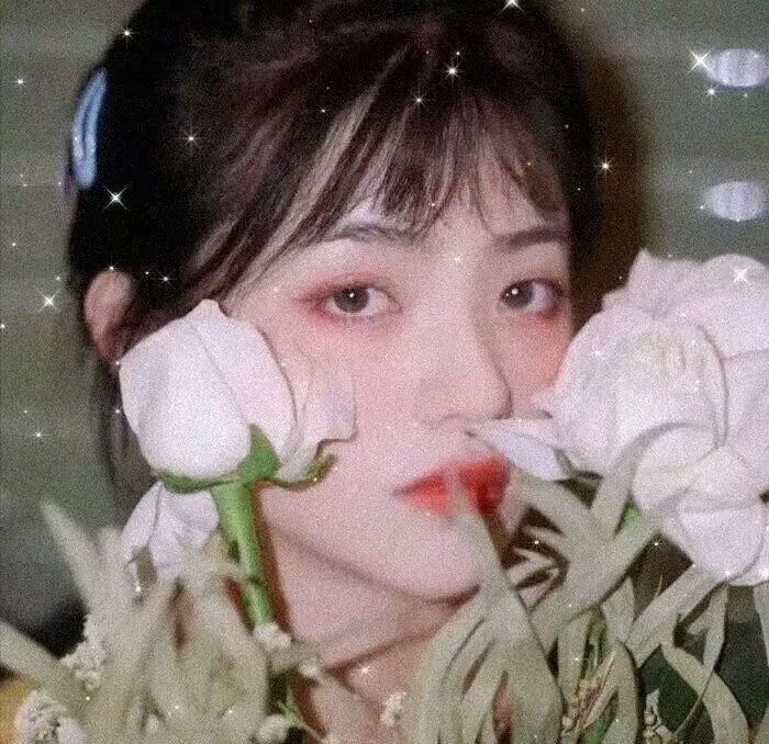 泰王纳黎萱5